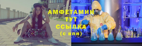 стафф Аркадак
