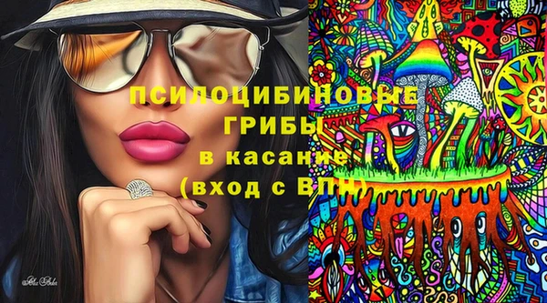 стафф Аркадак