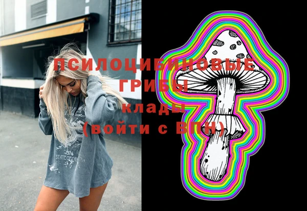 стафф Аркадак